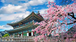 banner-korea-eta-guide-for-czech-citizens