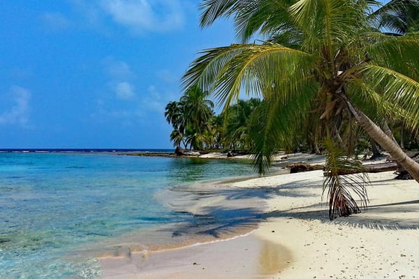 India Visa for Panamanian Citizens: Easy Steps To Apply
